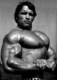 arnold-schwarzenegger-5.jpg